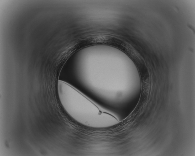 X0000098020505200803280756