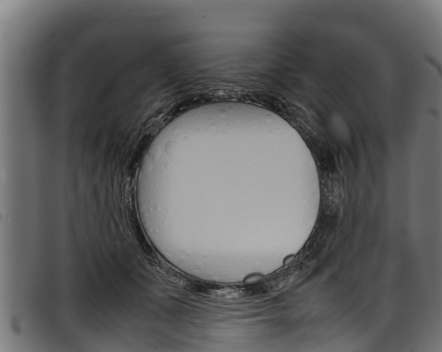X0000098020511200803280756