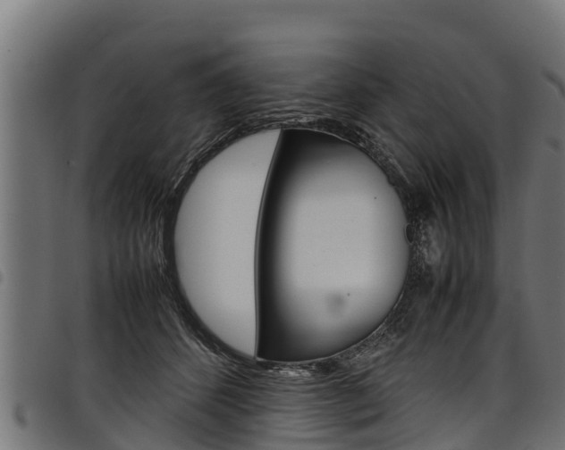 X0000098020512200803280756