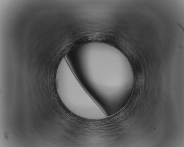 X0000098020513200803280756