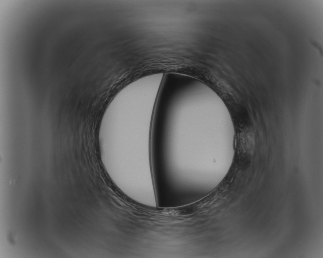 X0000098020517200803280756