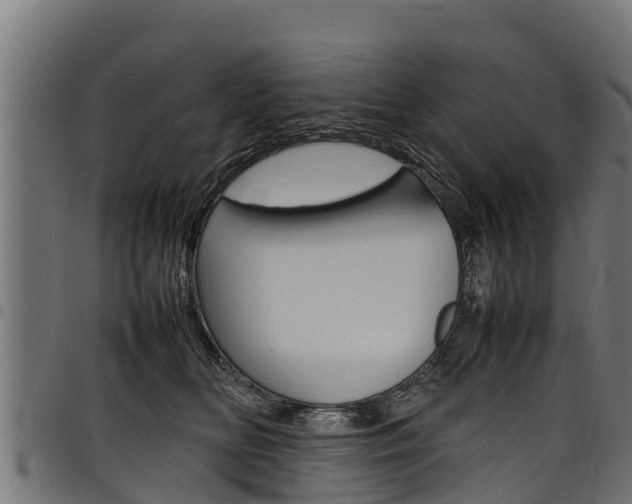 X0000098020518200803280756