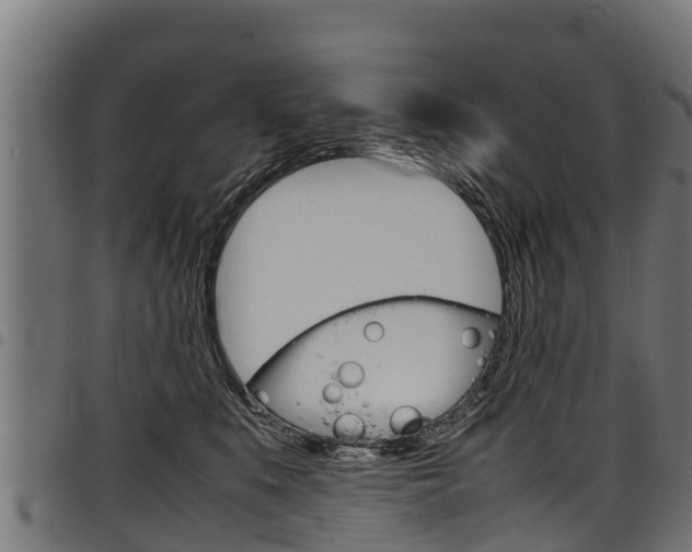 X0000098020519200803280756