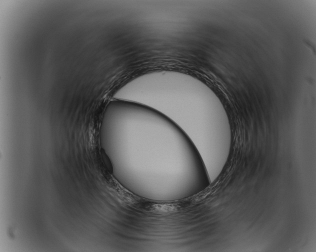 X0000098020520200803280756