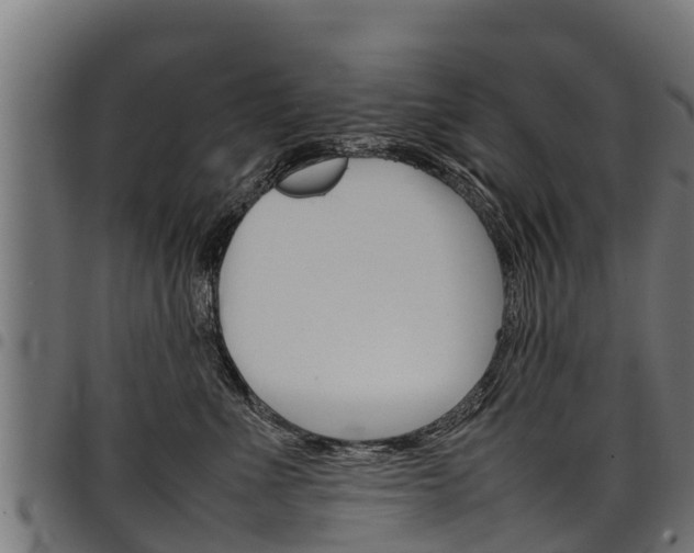 X0000098020523200803280756