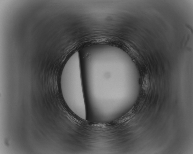 X0000098020524200803280756