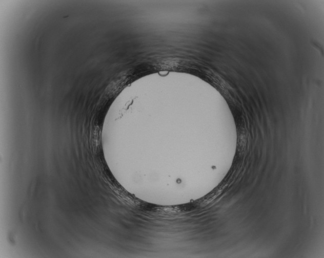 X0000098020525200803280756