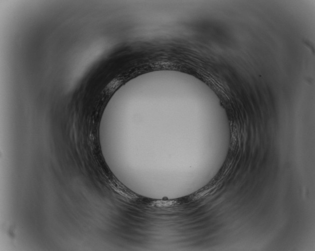 X0000098020526200803280756
