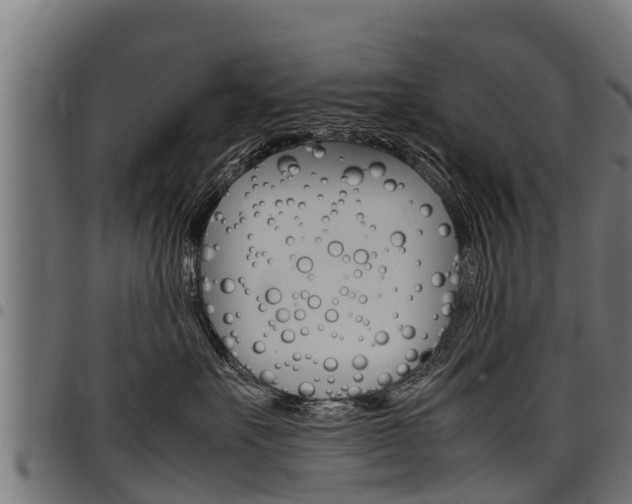 X0000098020527200803280756