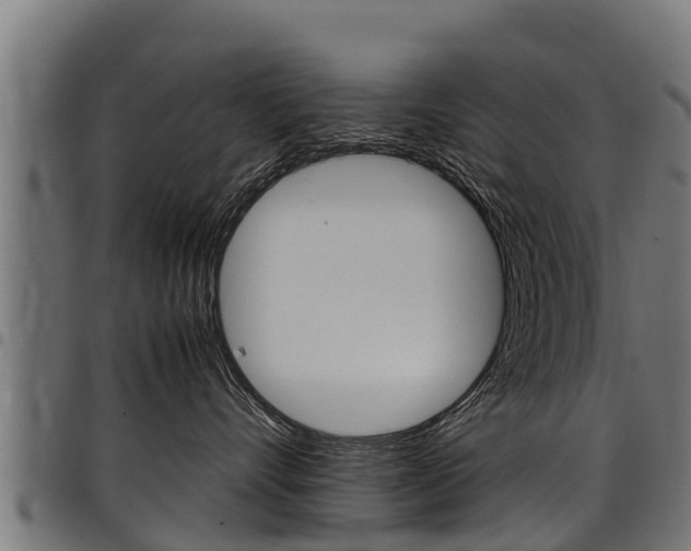 X0000098020528200803280756