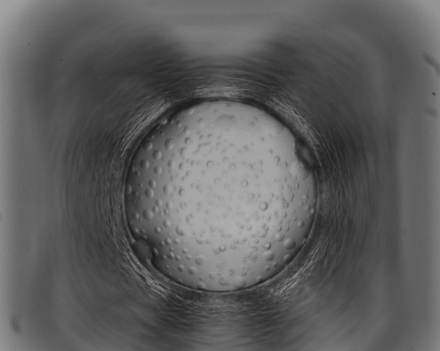 X0000098020529200803280755