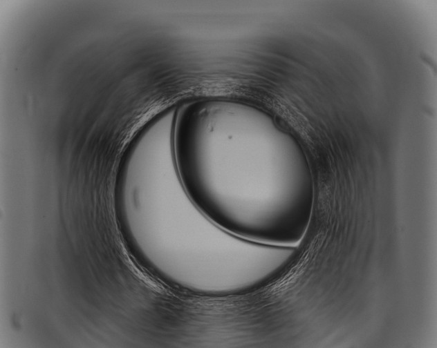 X0000098020530200803280755
