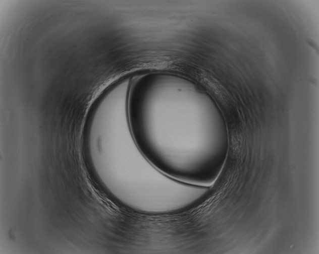 X0000098020532200803280755
