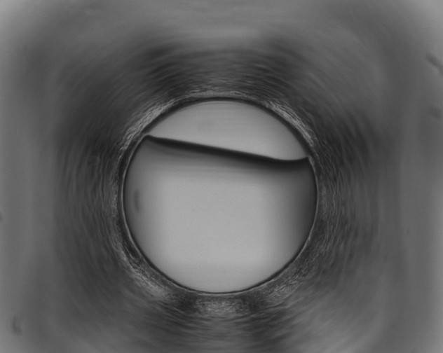 X0000098020533200803280755