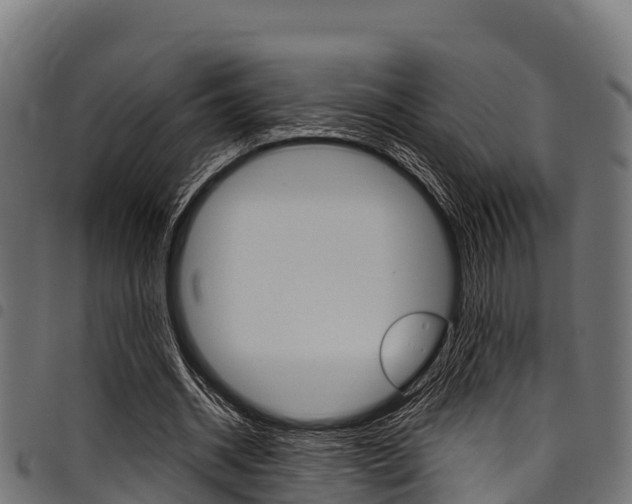 X0000098020534200803280755