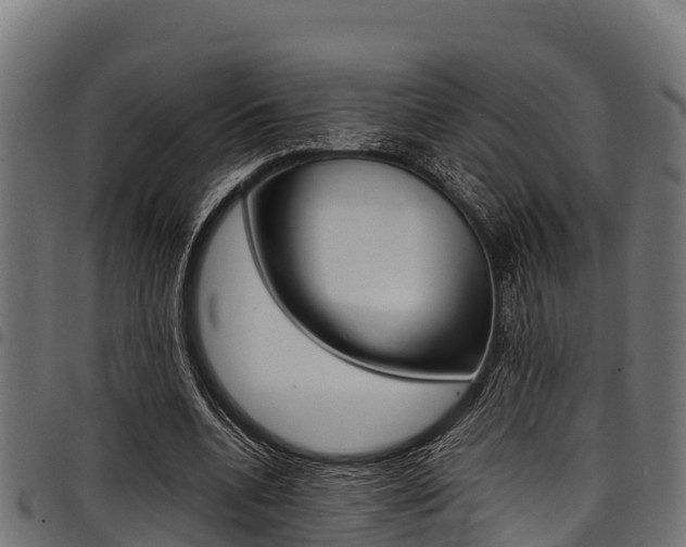 X0000098020536200803280755