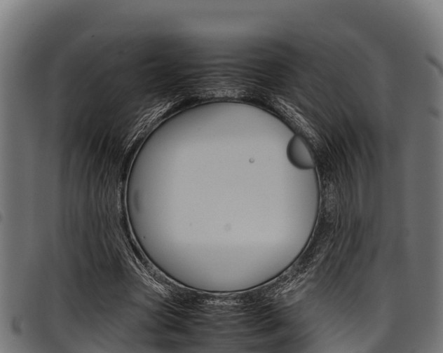X0000098020537200803280755