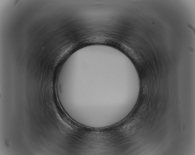 X0000098020538200803280755