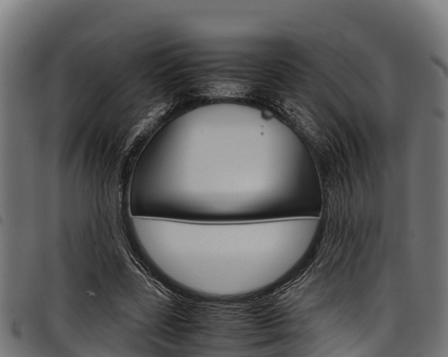 X0000098020539200803280755