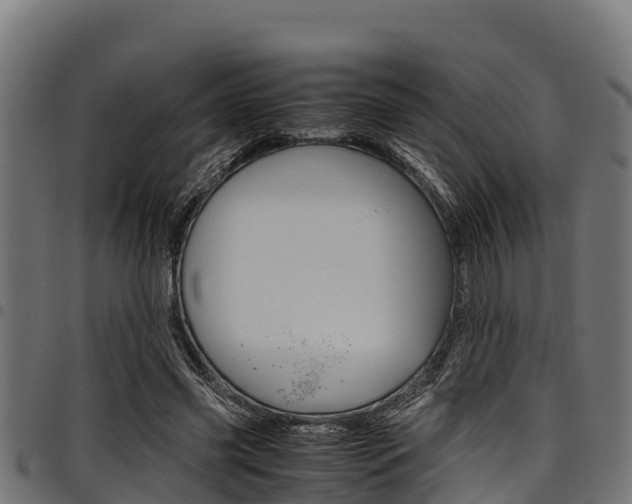 X0000098020541200803280755