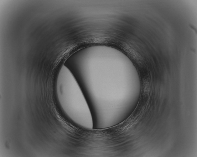 X0000098020542200803280755