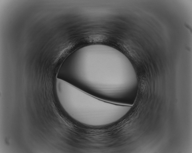 X0000098020543200803280755