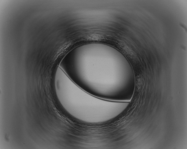 X0000098020544200803280755