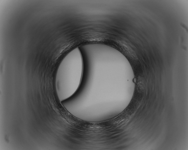 X0000098020547200803280755