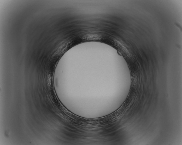 X0000098020549200803280755
