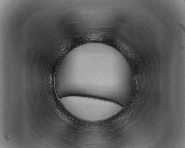 X0000098020550200803280755