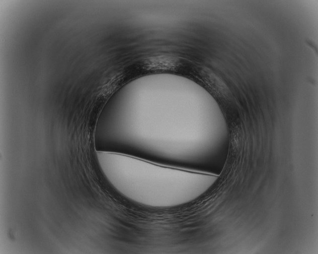 X0000098020551200803280755