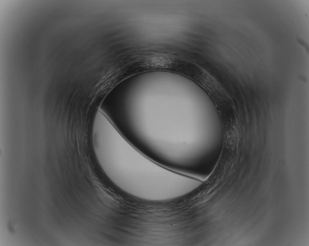 X0000098020552200803280755