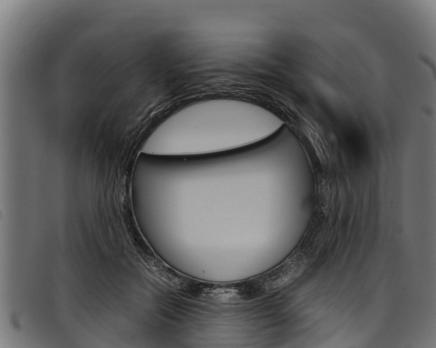 X0000098020554200803280755