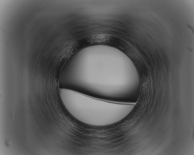 X0000098020555200803280755