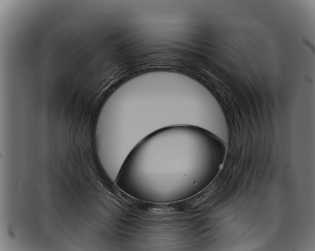 X0000098020556200803280755
