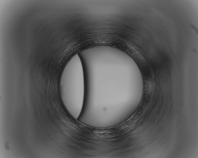 X0000098020557200803280755