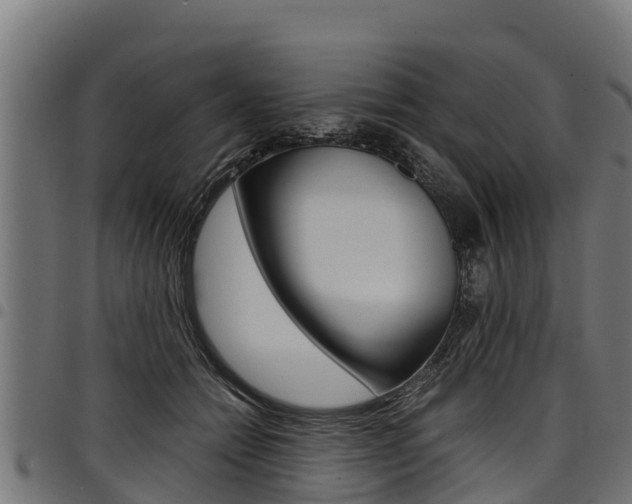 X0000098020558200803280755