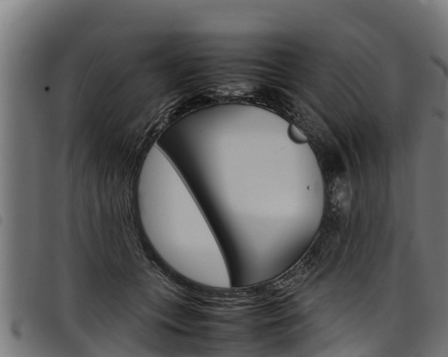 X0000098020559200803280755