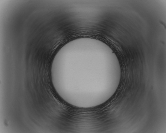 X0000098020560200803280755