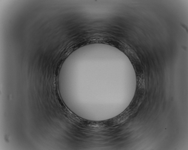 X0000098020561200803280755