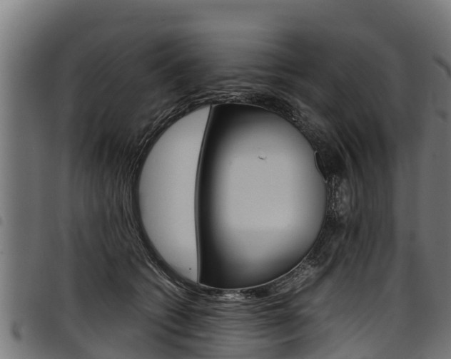 X0000098020562200803280755