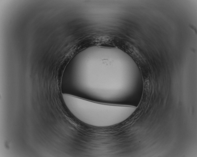 X0000098020564200803280756