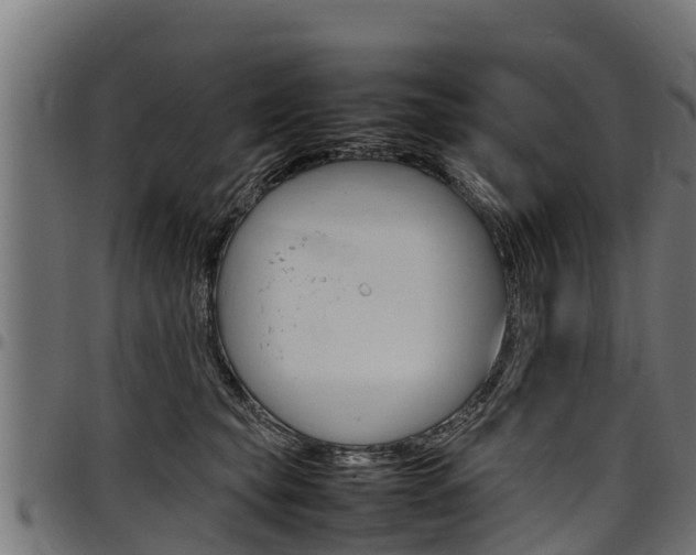 X0000098020565200803280756