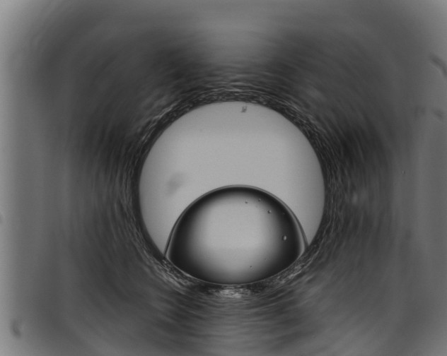 X0000098020566200803280756