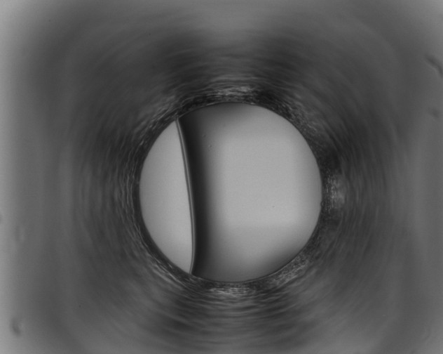 X0000098020567200803280756