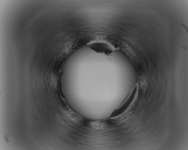 X0000098020568200803280756