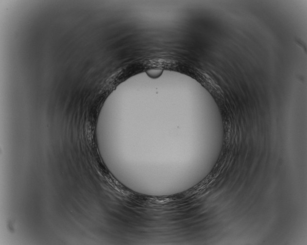 X0000098020569200803280756