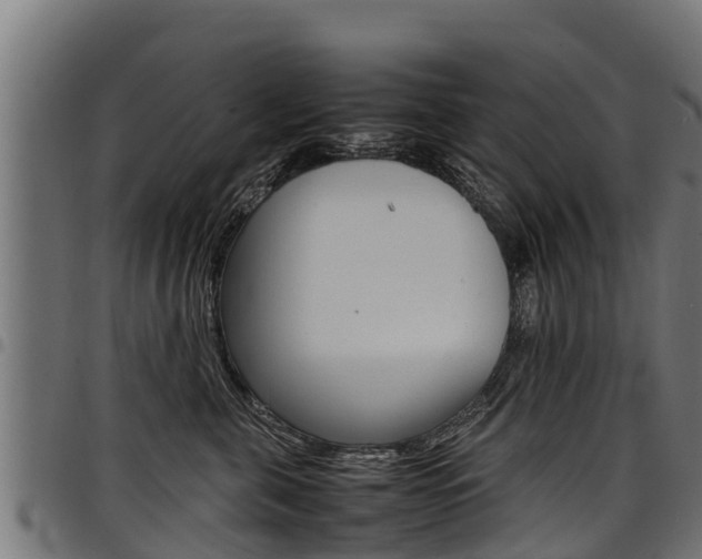 X0000098020571200803280756