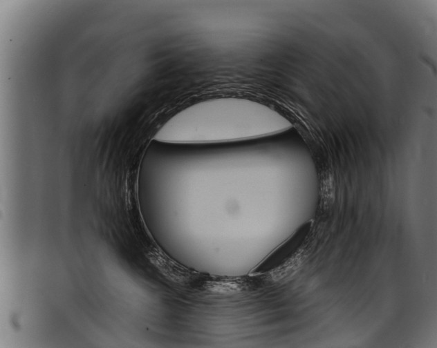 X0000098020572200803280756