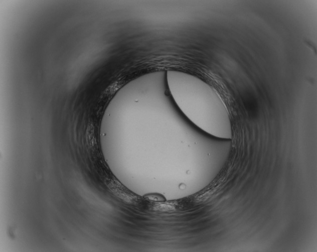 X0000098020573200803280756